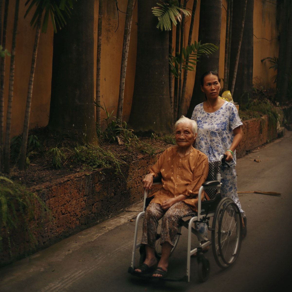 Caregiver pushing an elderly woman in a wheelchair along a shaded lane