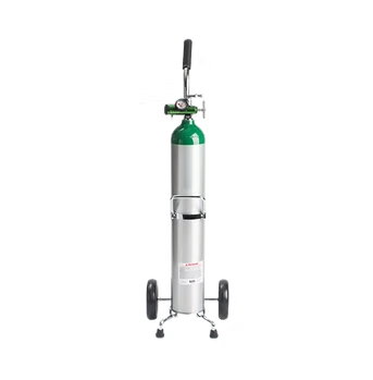 10L medical oxygen tank available for monthly rental from OxyHub Malaysia, supplied with regulator and trolley
